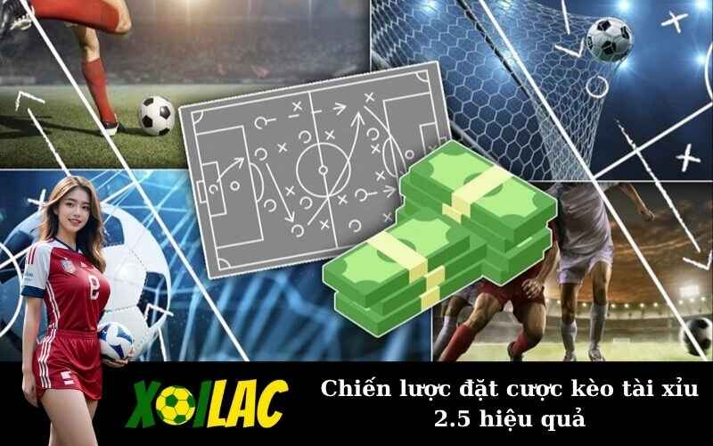 Chiến lược đặt cược kèo tài xỉu 2.5 hiệu quả
